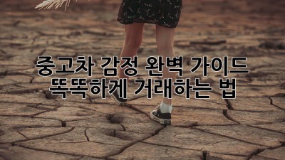 중고차 감정 완벽 가이드 🚗 똑똑하게 거래하는 법