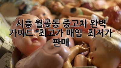 시흥 월곶동 중고차 완벽 가이드 🚗💰 최고가 매입 & 최저가 판매!
